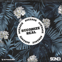 Ace2Ace - Reconize Real