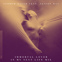 Andrew Bayer feat. Alison May - Immortal Lover (In My Next Life Mix)