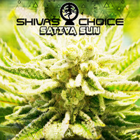 Shivas Choice - Sativa Sun