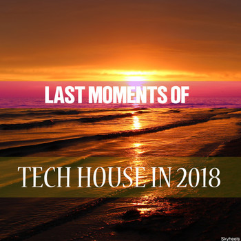 Various Artists - Last Moments of Tech House in 2018