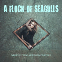 A Flock Of Seagulls - Wishing (If I had a Photograph of You)