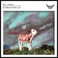 DJ Jace - Eisbachwelle