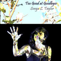 Sonya L Taylor - Too Good at Goodbyes