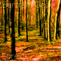 Bertram Geck - Forest