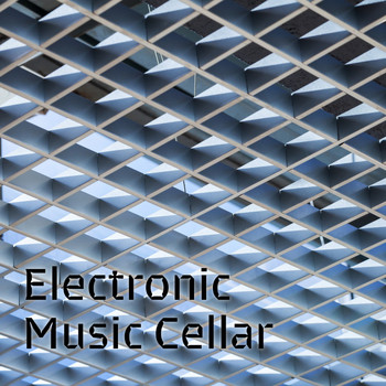 Various Artists - Electronic Music Cellar (Explicit)