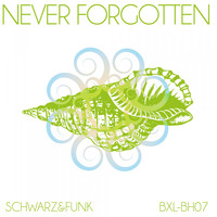 Schwarz & Funk - Never Forgotten