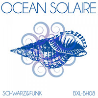 Schwarz & Funk - Ocean solaire
