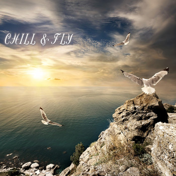 Various Artists - Chill & Fly
