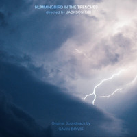 Gavin Brivik - Hummingbirds in the Trenches (Original Soundtrack)