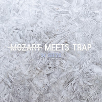 Seezo - Mozart Meets Trap