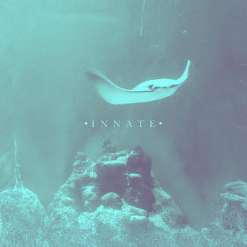 Innate - Let Go