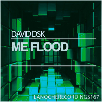 David DSK - Me Flood