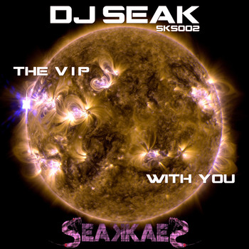 Dj Seak - The VIP