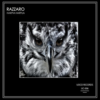 Razzaro - Harpia Harpyja