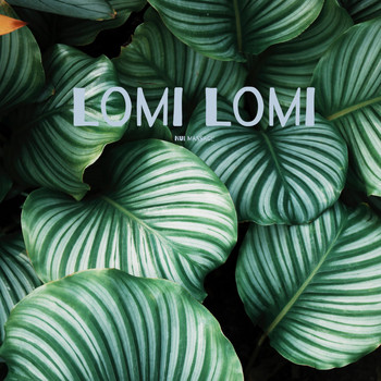 Various Artists - Lomi Lomi Nui Massage