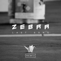 Zebra - Last Song (Remix)