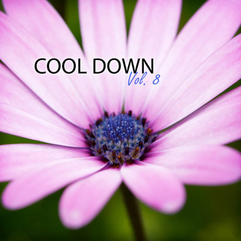 Various Artists - Cool Down, Vol. 8