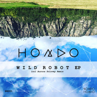 HONDO - Wild Robot