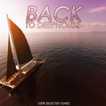Various Artists - Back to Deephouse (100% Selected Tunes)