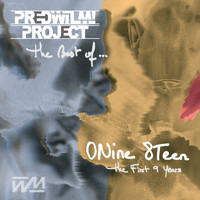 PredWilM! Project - 0Nine 8Teen: The First 9 Years (Best Of)