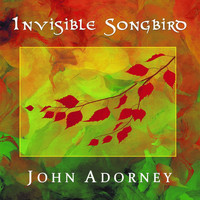 John Adorney - Invisible Songbird