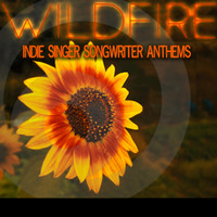 Hannah Miller / Ehren Ebbage - Wildfire: Indie Singer Songwriter Anthems