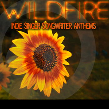 Hannah Miller / Ehren Ebbage - Wildfire: Indie Singer Songwriter Anthems