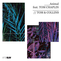Tom & Collins - Animal