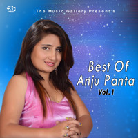 Anju Panta - Best Of Anju Panta, Vol-1