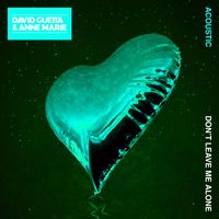 David Guetta - Don't Leave Me Alone (feat. Anne-Marie) (Acoustic)