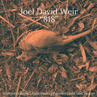 Joel David Weir - 818