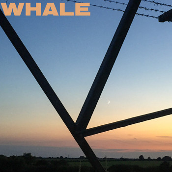 Whale - Thanks for Asking
