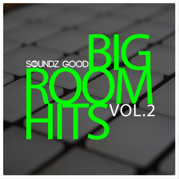 Various Artists - Soundz Good Big Room Hits Vol.2