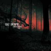 Black Sun Empire - From the Shadows (Remix) - EP
