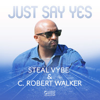Steal Vybe feat. C. Robert Walker - Just Say Yes