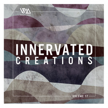Various Artists - Innervated Creations, Vol. 17