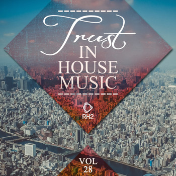 Various Artists - Trust in House Music, Vol. 28