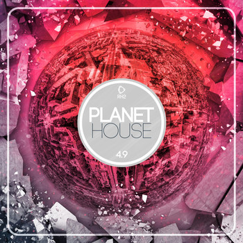 Various Artists - Planet House 4.9