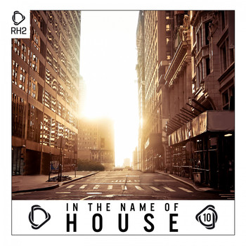 Various Artists - In the Name of House, Vol. 10