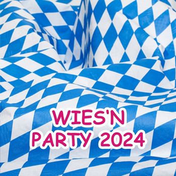 Various Artists - Wies'n Party 2024