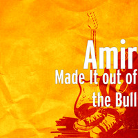 Amir - Made It out of the Bull