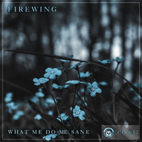 FireWing - What Me Do Me Sane