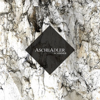 Schimmer - AscheAdler