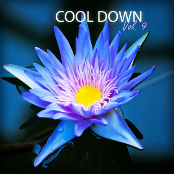 Various Artists - Cool Down, Vol. 9