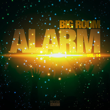 Various Artists - Big Room Alarm, Vol. 14