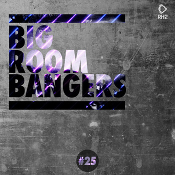 Various Artists - Big Room Bangers, Vol. 25