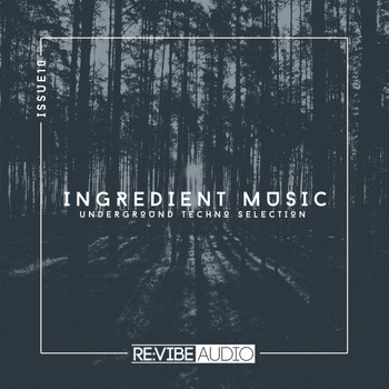 Various Artists - Ingredient Music, Vol. 10