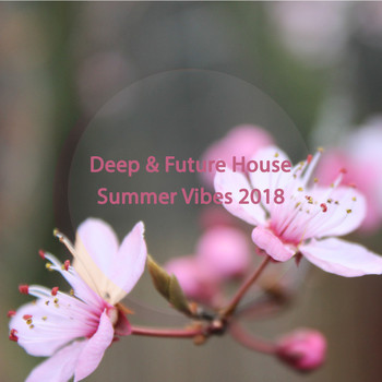 Various Artists - Deep & Future House Summer Vibes 2018 (Explicit)