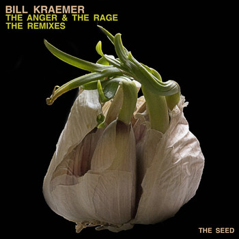 Bill Kraemer - The Anger & The Rage The Remixes