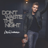 Levi Hummon - Don't Waste the Night